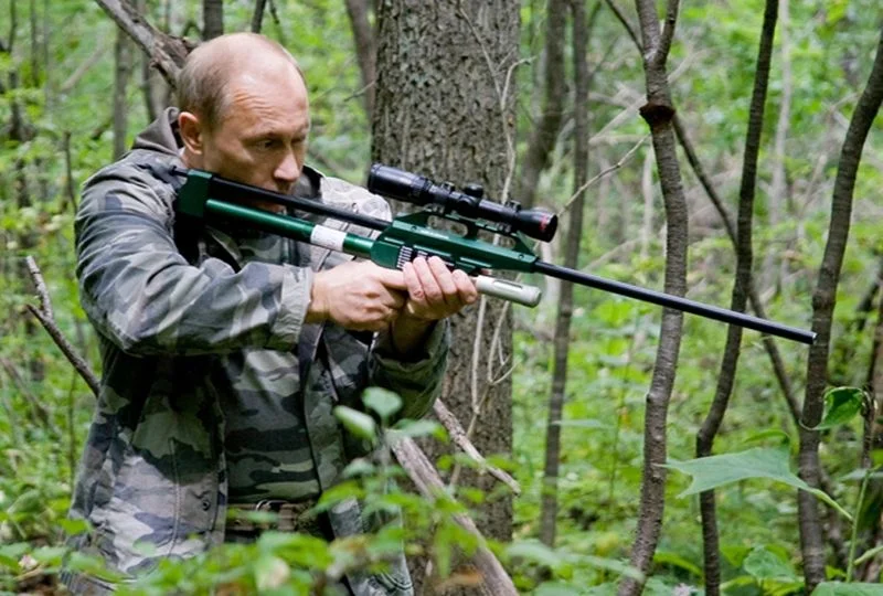 Putin kładzie usypiającym pociskiem atakującego tygrysa amurskiego.