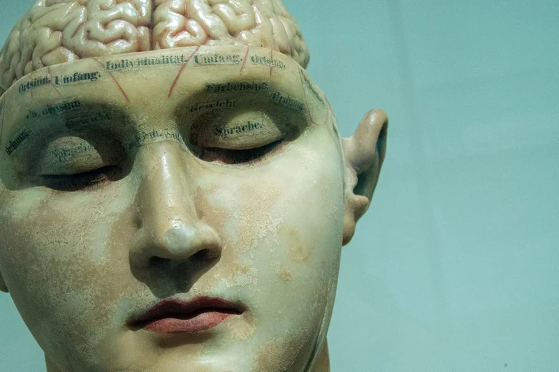 Leki antydepresyjne mają wpływ na mózg - gdy zapomnimy ich wziąć, możemy doznać tzw. "brain zaps"