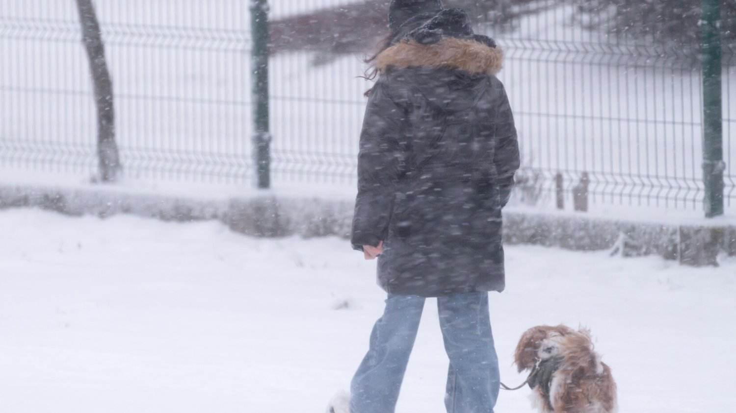 Nagłe ochłodzenie idzie do Polski. Alerty IMGW i minus 9 stopni.