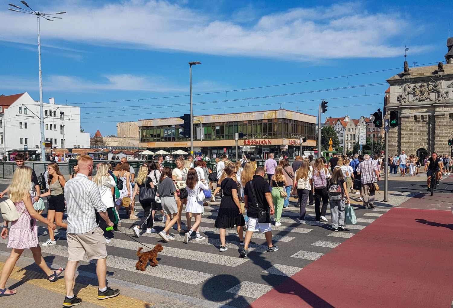 Akcja policji wywołała oburzenie w sieci.