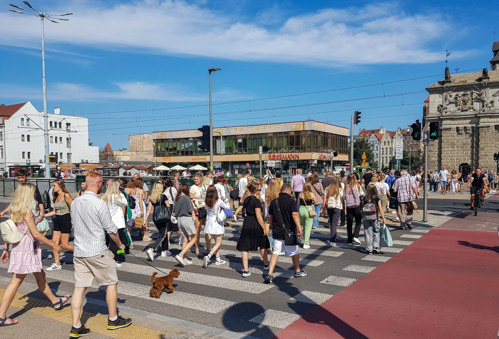 Akcja policji wywołała oburzenie w sieci.