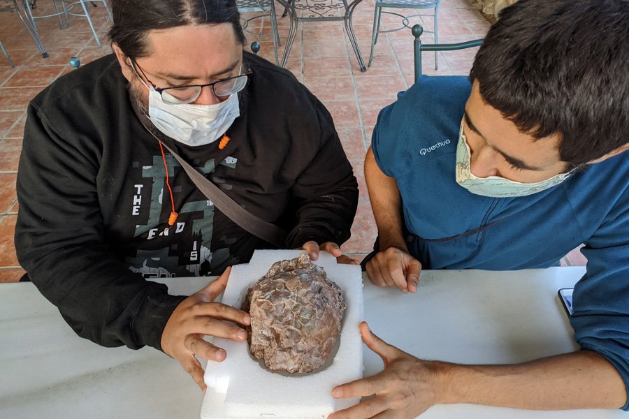 Naukowcy odkryli ponad dwadzieścia jaj dinozaurów