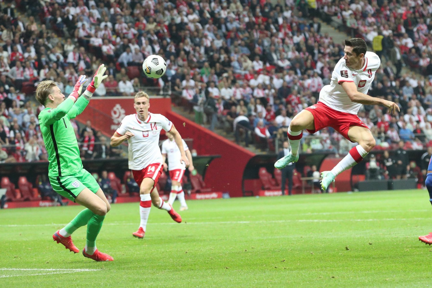 Medal Biało-Czerwonych w Katarze? To będzie droga przez mękę, możemy zagrać na przykład z Anglikami