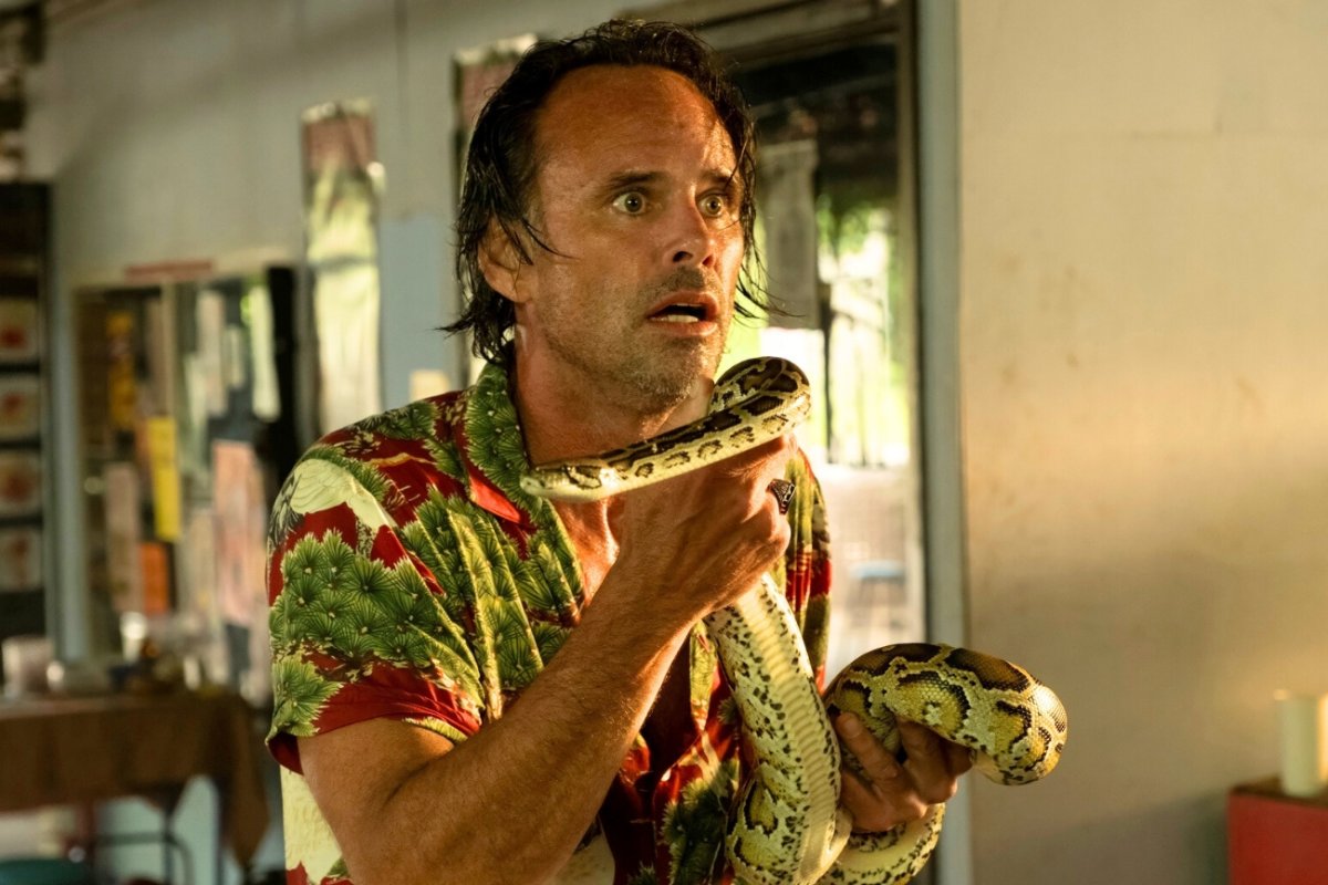 W Indiach ocenzurowano "Biały Lotos". Usunięto jedną scenę, ale nie tę z braćmi