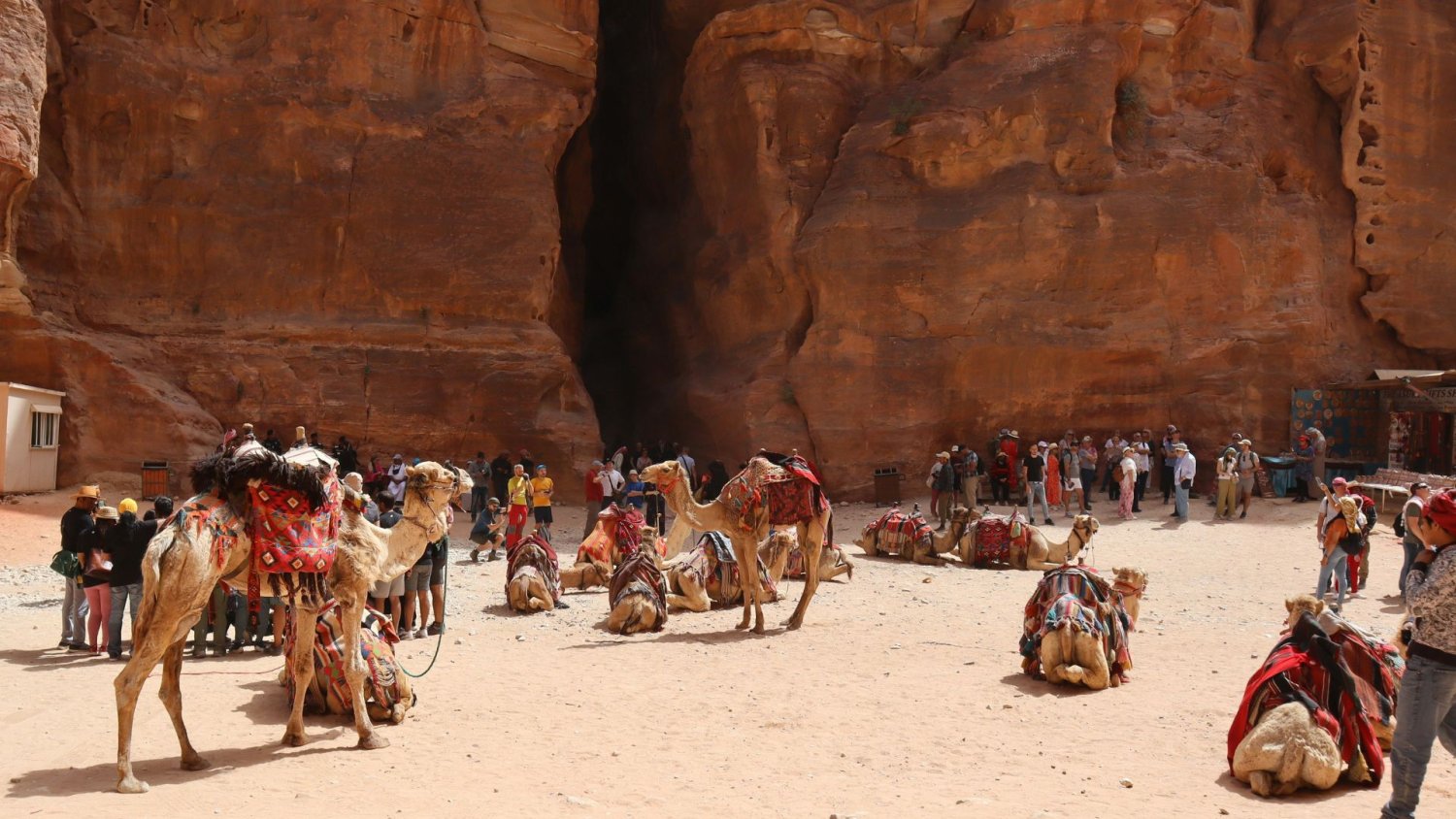 Nie tylko ZEA i Arabia Saudyjska. MSZ ostrzega przed podróżą do kolejnych krajów