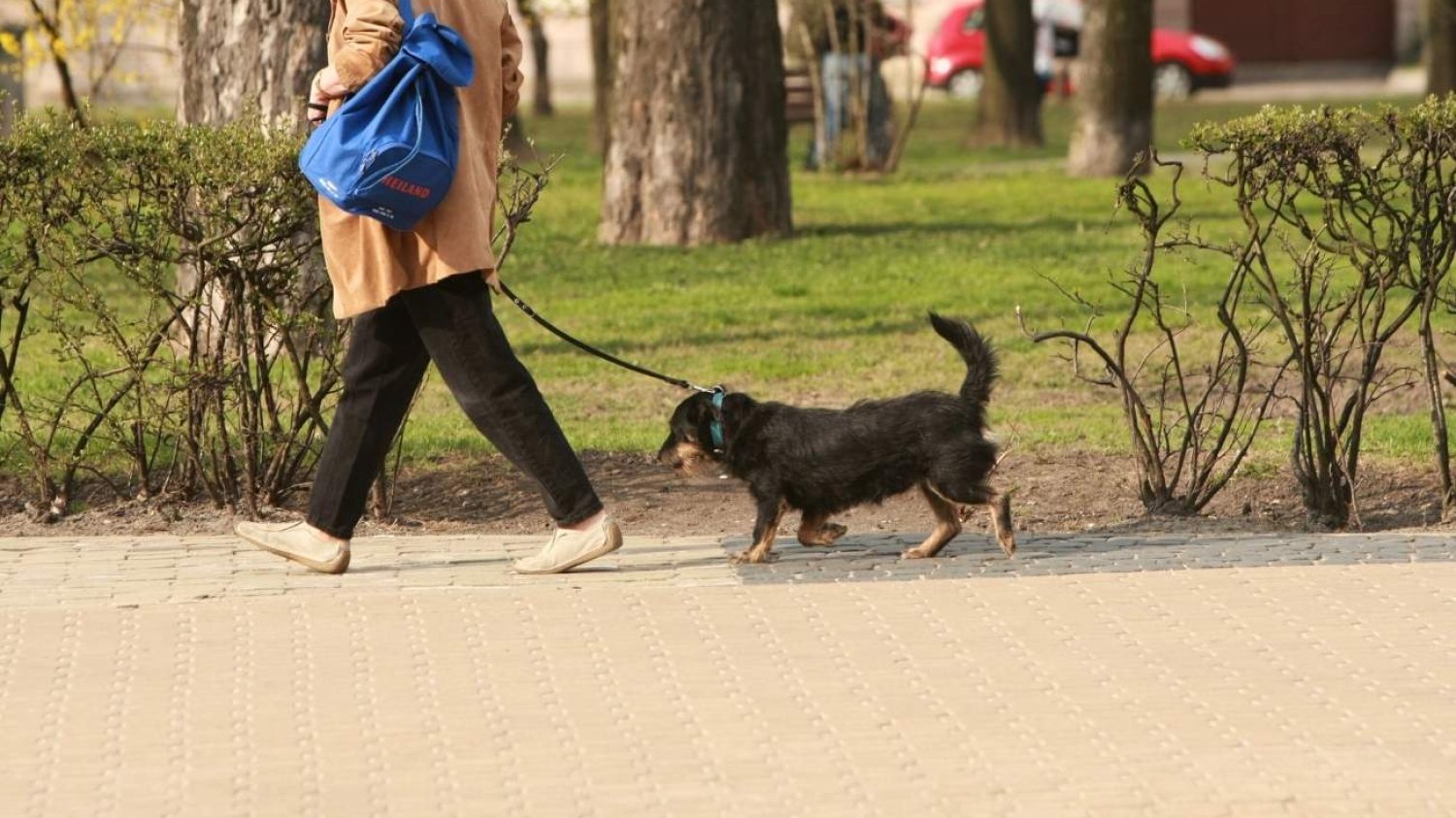 Seniorka pogryzła policjantów. Seniorka pogryzła policjantów.