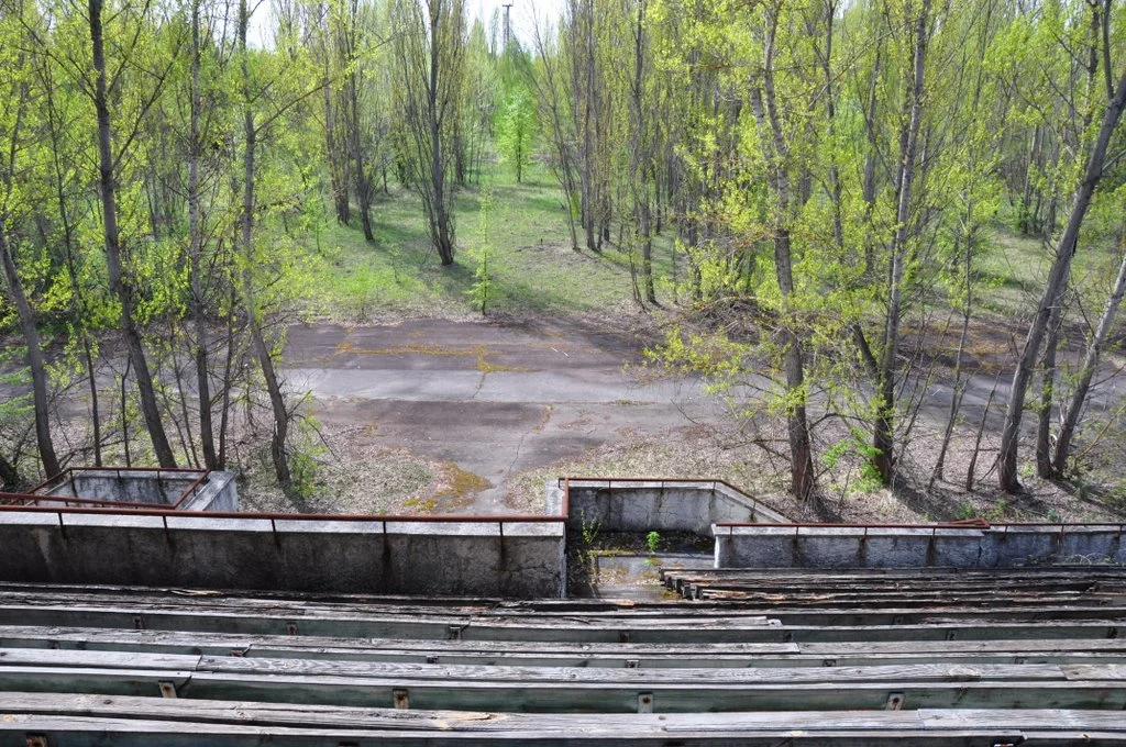 Widok na murawę Stadionu Miejskiego.