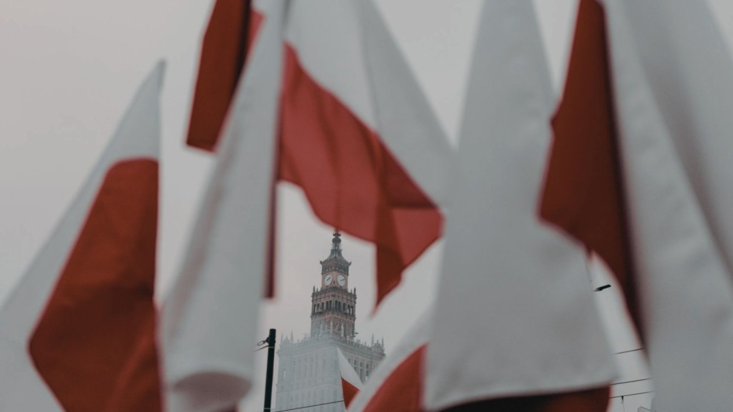 Polskie flagi, w tle Pałac Kultury i Nauki w Warszawie