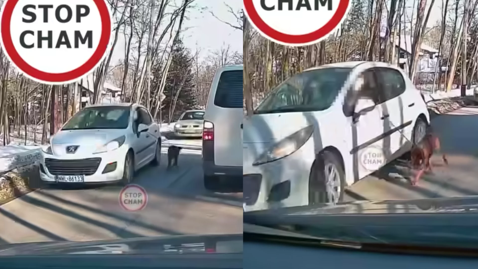 Wyprowadzał psa ciągnąc go za swoim Peugeotem. Ręce opadają, policja już go szuka