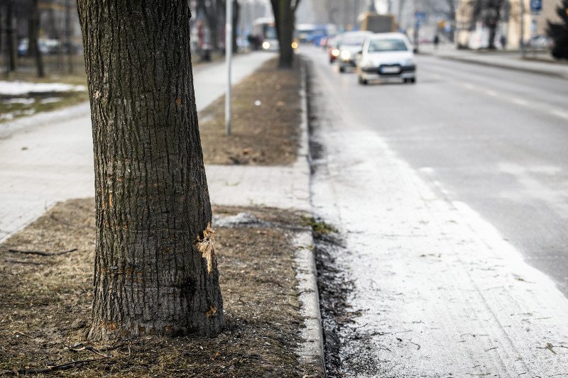 Oświęcim, ul. Powstańców Śląskich. Tu doszło do wypadku z udziałem samochodu premier Szydło.