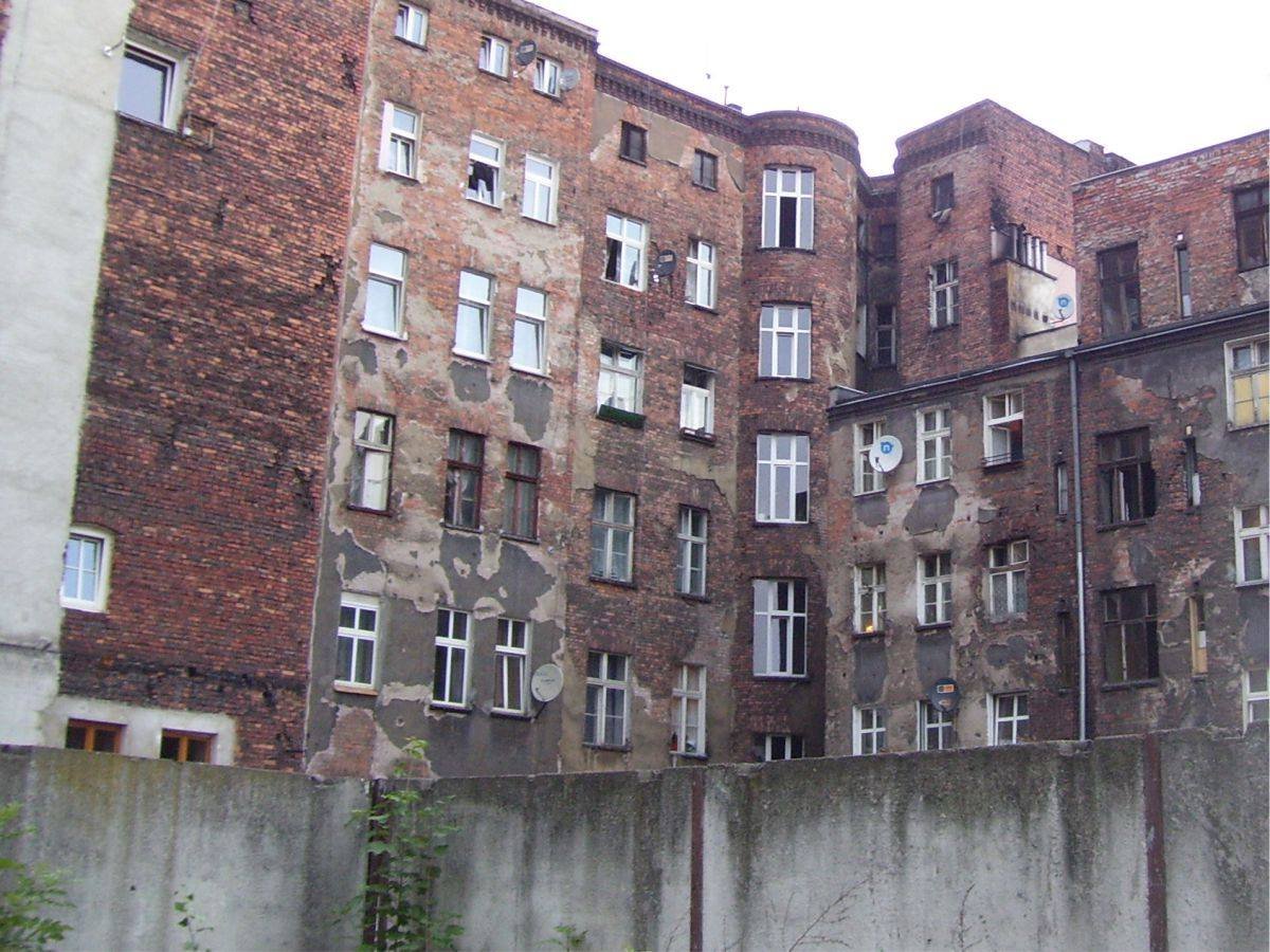 (fot. Piotr Lewandowski)