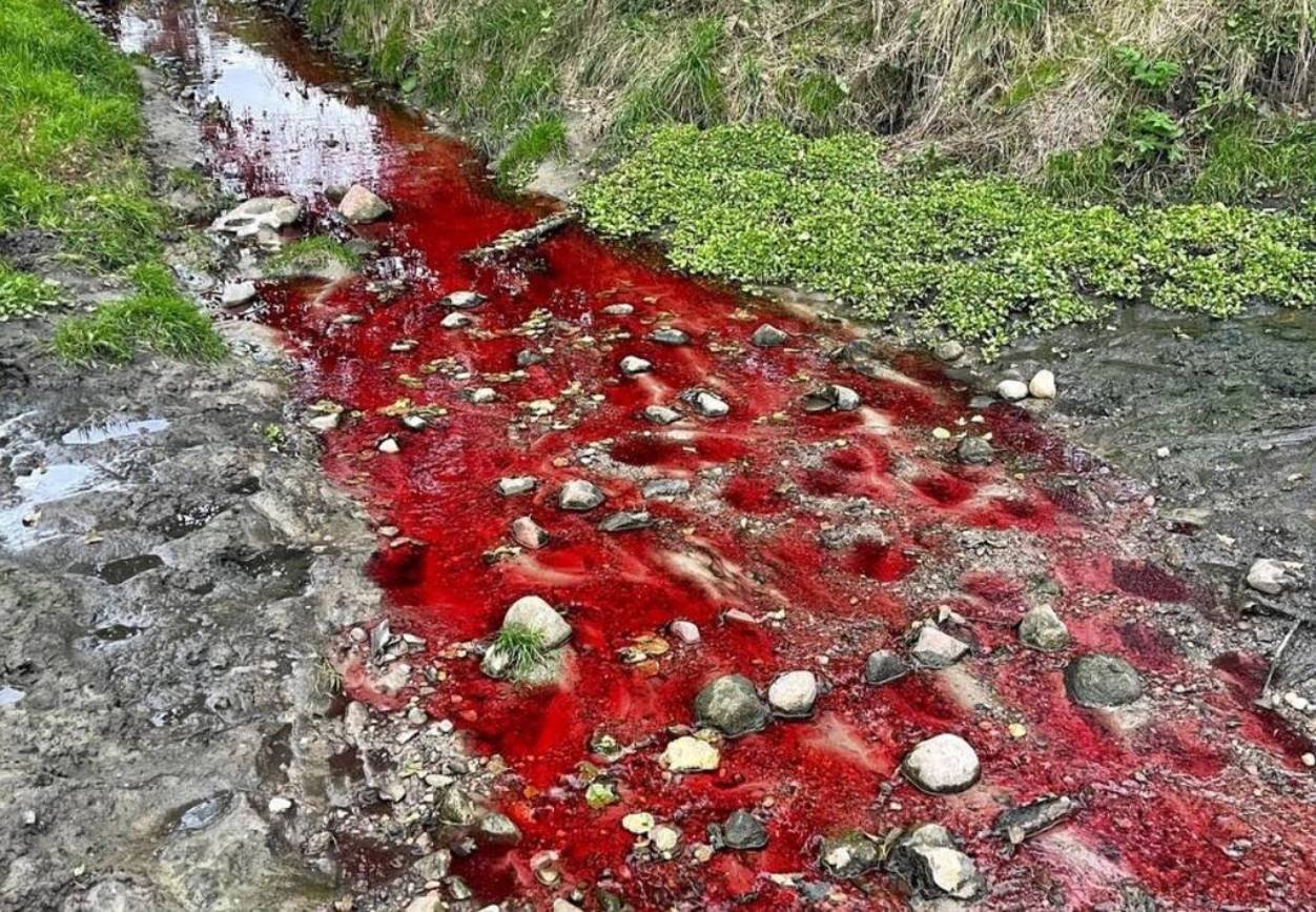 Augustóka ma kolor krwi. Rzeka zanieczyszczona na czerwono