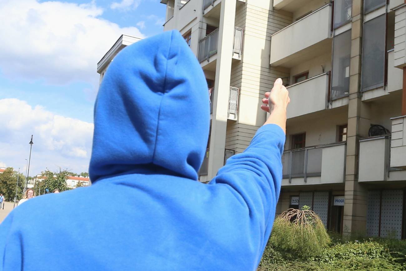 Gliwice: trzy dno po adopcji pies wypadł przez okno. Policja komentuje