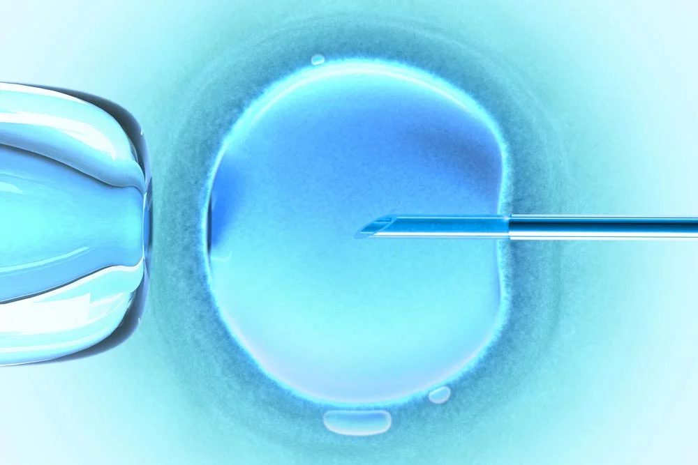 Zabieg in vitro