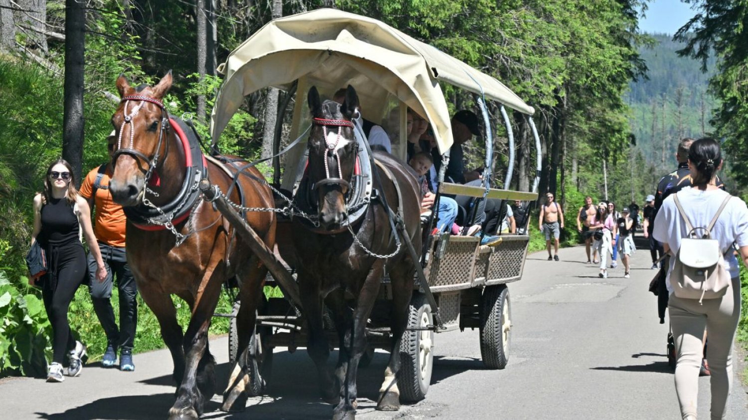 Konie znikną znad Morskiego Oka. Zmiana w Tatrach