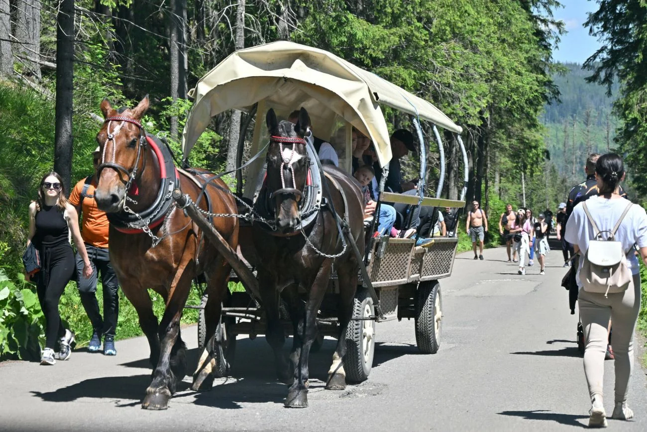 Koniec koni nad Morskim Okiem. Rewolucja w Tatrach Konie znikną znad Morskiego Oka. Zmiana w Tatrach