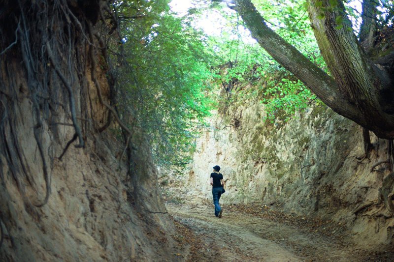 Burmistrz Kazimierza Dolnego chce wybrukować wąwóz i ustawić latarnie, które będą oświetlać korzenie w nocy.