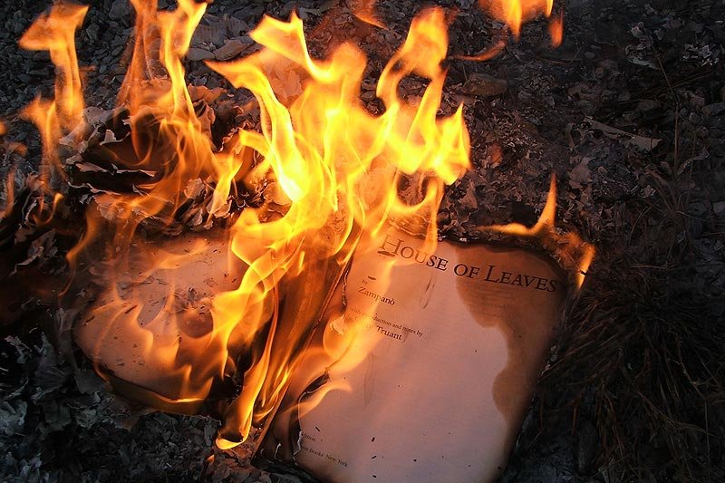 Dziś pewne książki nadal powinny płonąć?