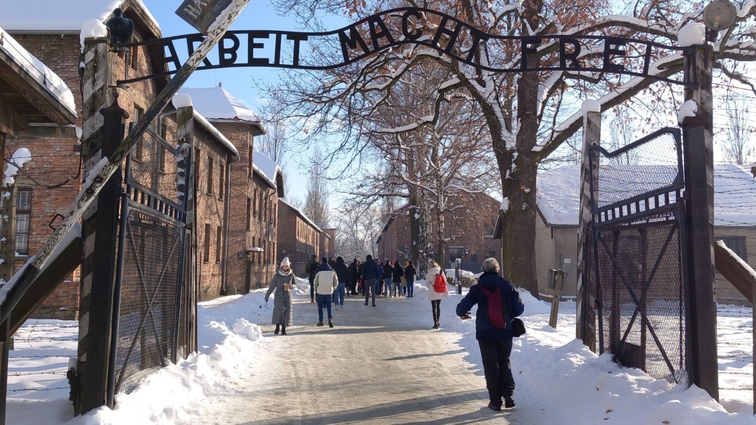 Nieuczciwi organizatorzy wyjazdów do Auschwitz Problem z wycieczkami do Auschwitz
