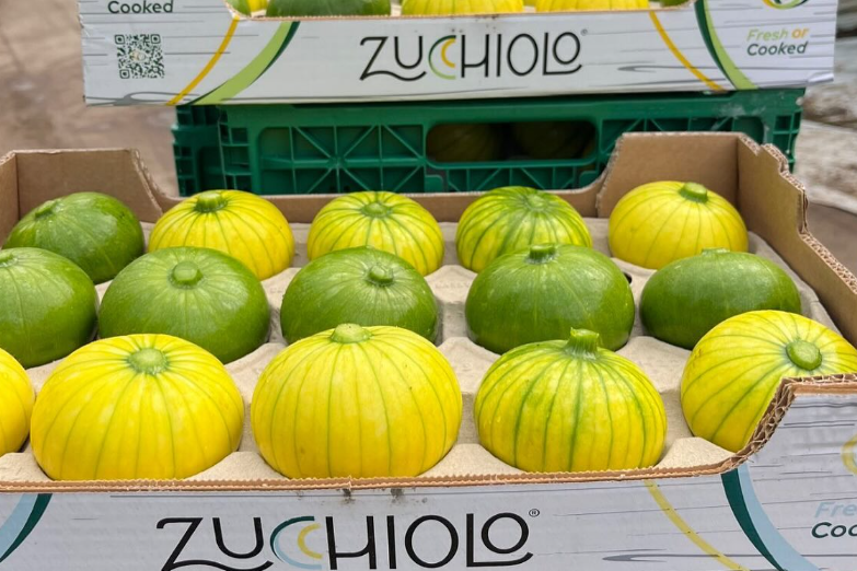 Zucchiolo prezentuje się świetnie i ma ciekawy smak!