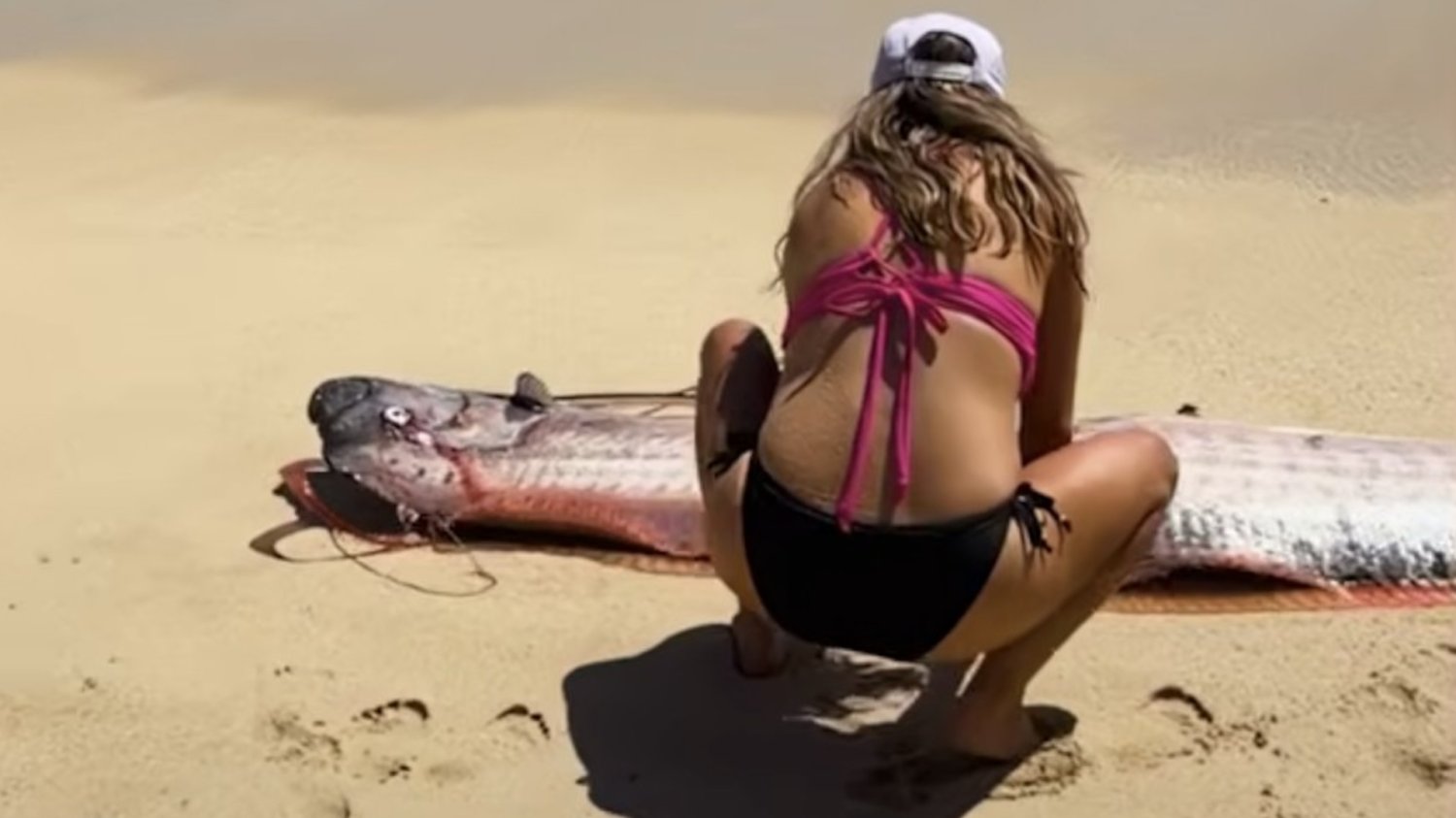 Wstęgor królewski, czyli ryba zagłady, na plaży w Meksyku. Czemu wywołuje taki niepokój? "Ryba zagłady" w Meksyku. Film pokazuje niezwykłe zjawisko