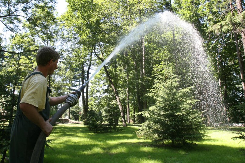 Niektóre gminy w Polsce apelują do mieszkańców, by w czasie upałów ograniczyli podlewanie ogródków. (zdjęcie ilustracyjne).