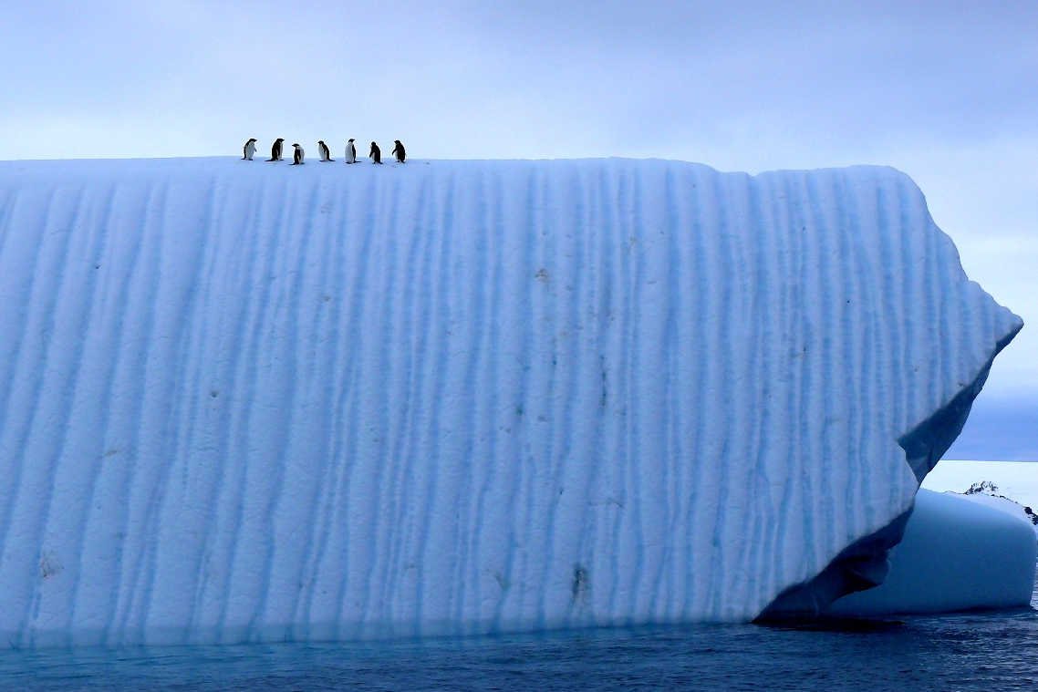 Krajobraz arktyczny.