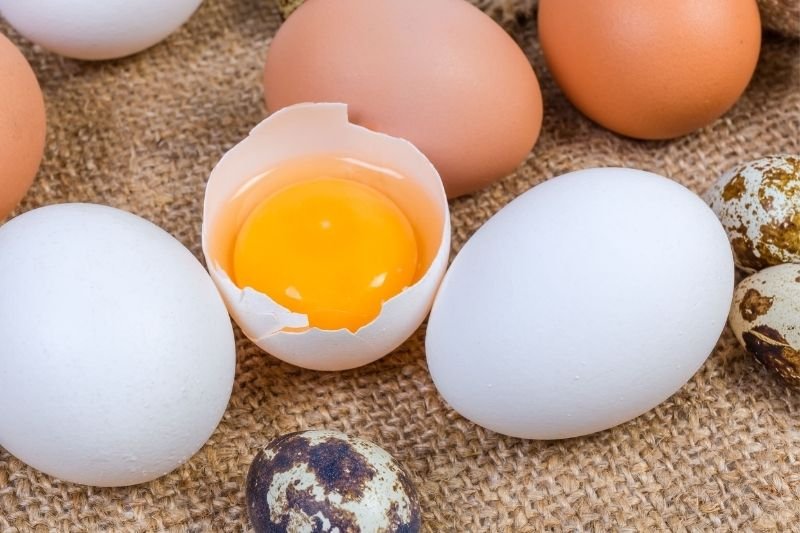 Skorupki od jajek można wykorzystać w domu i w ogrodzie - mamy na to 5 sposobów