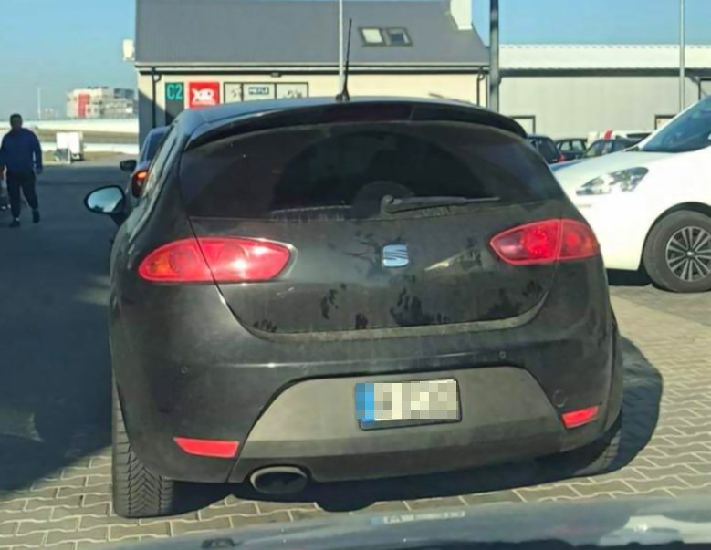 Małych tablic rejestracyjnych wcale nie zamawiali wyłącznie właściciele samochodów z USA i Japonii