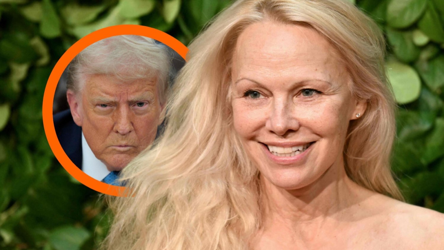 Pamela Anderson wspomina spotkanie z Trumpem. Tak słów raczej się nie spodziewał. Pamela Anderson mocno o Donaldzie Trumpie. Wynajął ją na urodziny.