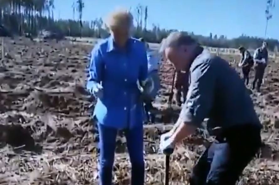 Sytuacja miała miejsce w piątek 18 września.