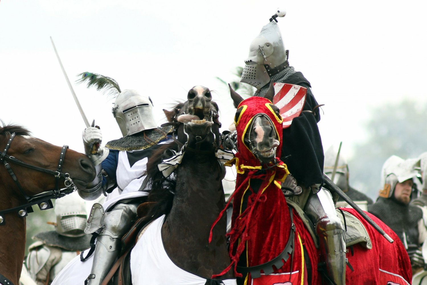 Inscenizacja Bitwy pod Grunwaldem