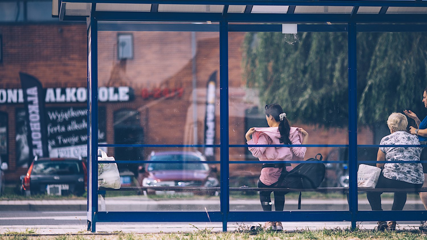 Koreańczycy we Wrocławiu - kim są?