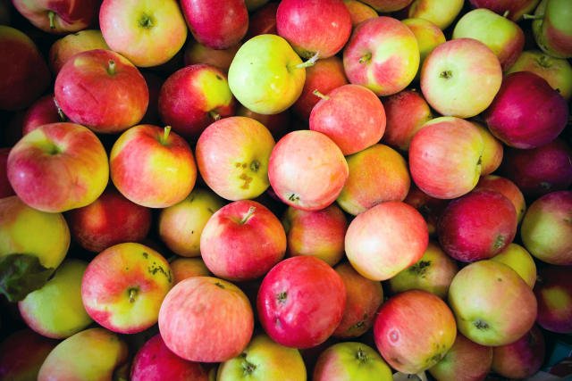 W sezonie 2012/2013 Polska była największym na świecie eksporterem jabłek
