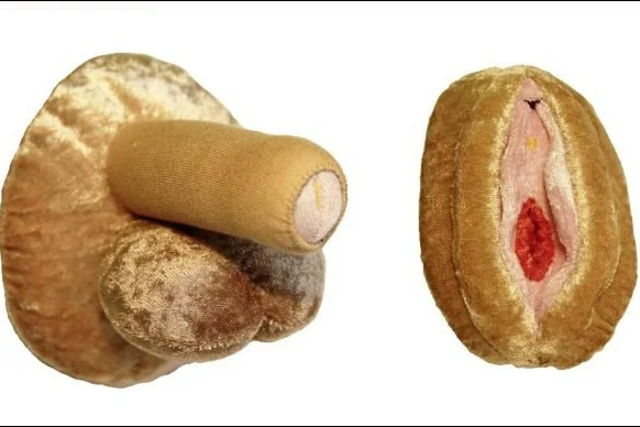 Tak wygląda zawartość sex-boxa: pluszowy penis i wagina