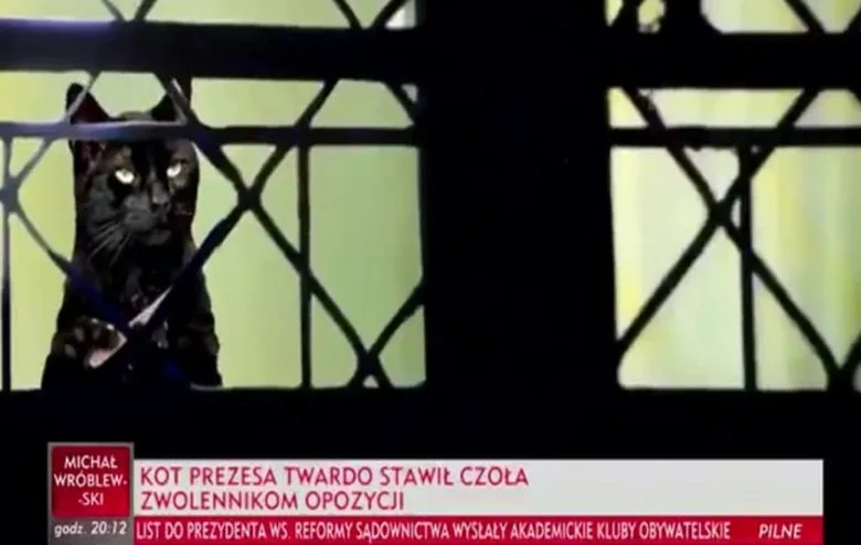 Teraz już nie wiadomo czy to żart czy ktoś serio tak myśli