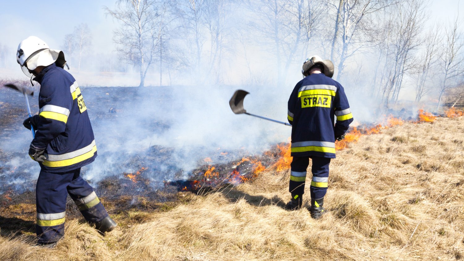 Wypalanie traw najgłupszym mitem wiosny. I najdroższym, bo kara sięga 30 tys. zł