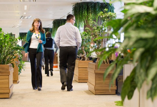 Szczęśliwi lepiej pracują - uważają w tej korporacji. Widok na biuro.