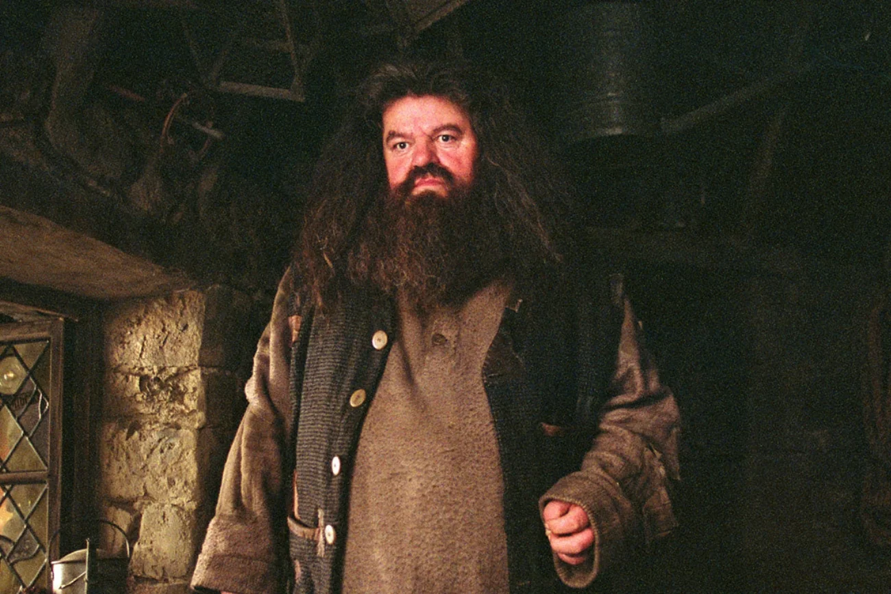 Kto zagra Hagrida w serialu "Harry Potter"?