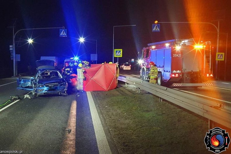 Kierowca chciał ominąć psy na drodze. Śmiertelny wypadek pod Warszawą