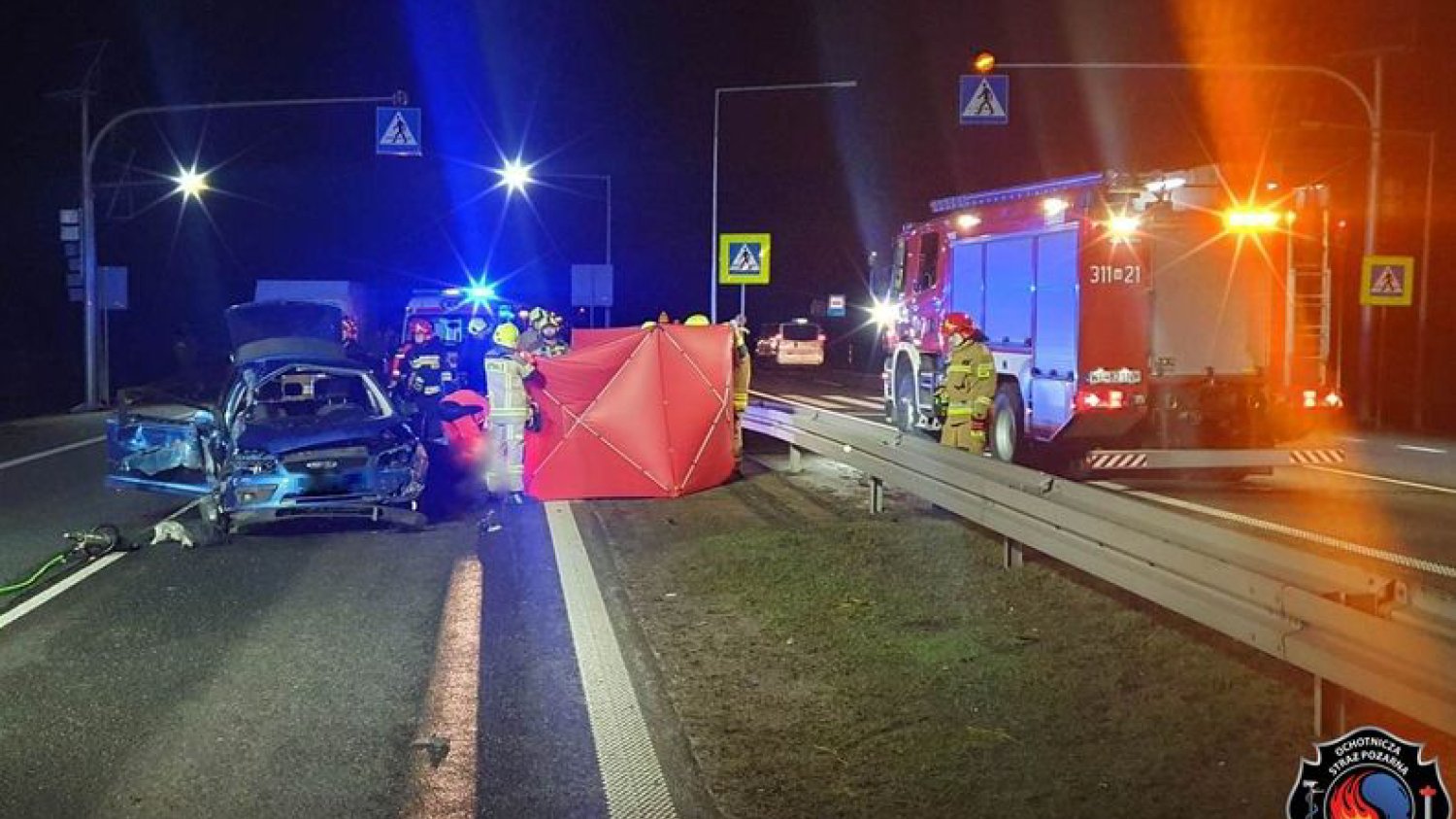 Kierowca chciał ominąć psy na drodze. Śmiertelny wypadek pod Warszawą