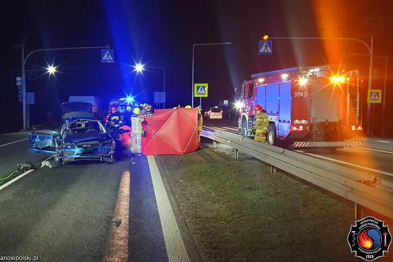 Kierowca chciał ominąć psy na drodze. Śmiertelny wypadek pod Warszawą