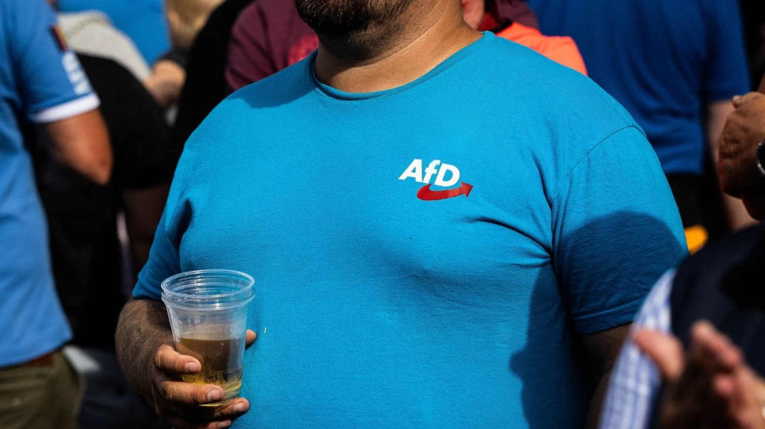Wyborca AfD