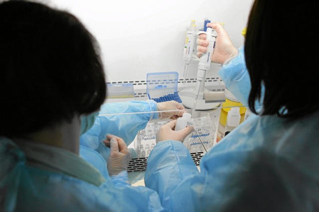 „Wirus Zika to międzynarodowe zagrożenie” – stwierdziła Światowa Organizacja Zdrowia.