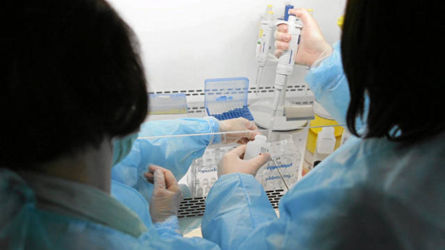 „Wirus Zika to międzynarodowe zagrożenie” – stwierdziła Światowa Organizacja Zdrowia.