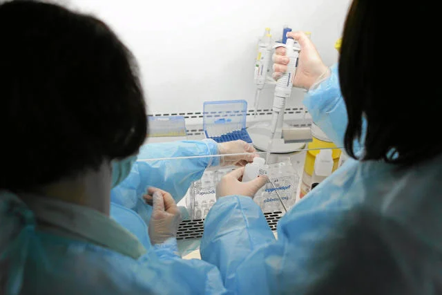 „Wirus Zika to międzynarodowe zagrożenie” – stwierdziła Światowa Organizacja Zdrowia.