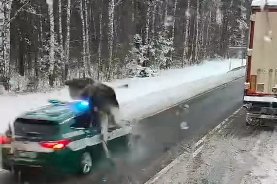 Radiowóz KAS potrącił łosia w Bobrownikach
