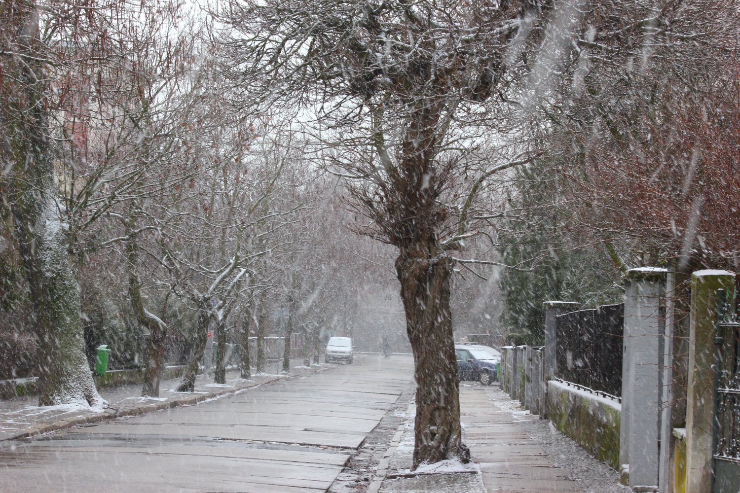 W połowie stycznia zaatakuje zima.