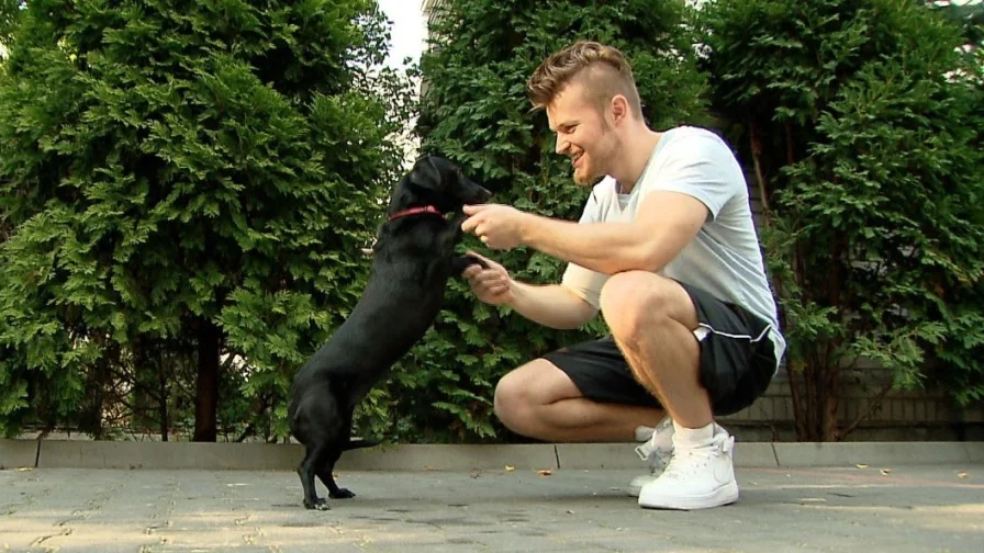 Sylwester i już słynny piesek Chica.