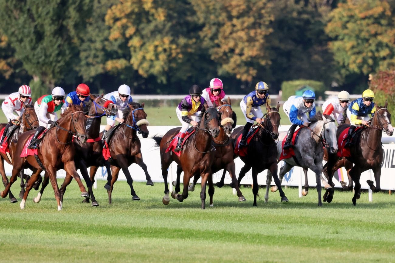 Konsekwencje dla koni po CLOUT Festival